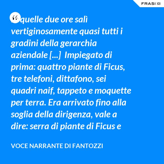 in quelle due ore salì vertiginosamente quasi tutti i gradini della gerarchia aziendale [...]  Impiegato di prima: quattro piante di Ficus, tre telefoni, dittafono, sei quadri naif, tappeto e moquette per terra. Era arrivato fino alla soglia della dirigenza, vale a dire: serra di piante di Ficus e poltrona in pelle umana, quando la fortuna voltò rovinosamente le spalle al Semenzara. - Voce Narrante di Fantozzi