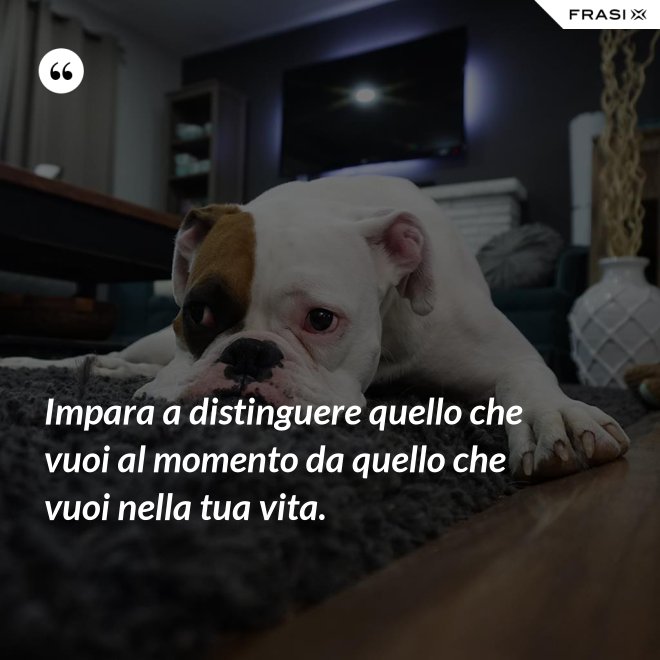 Impara a distinguere quello che vuoi al momento da quello che vuoi nella tua vita. - Anonimo