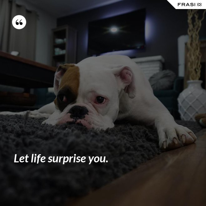 Let life surprise you. - Anonimo