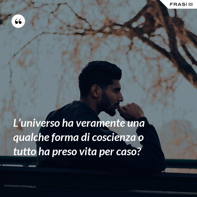 L’universo ha veramente una qualche forma di coscienza o tutto ha preso vita per caso? - Anonimo