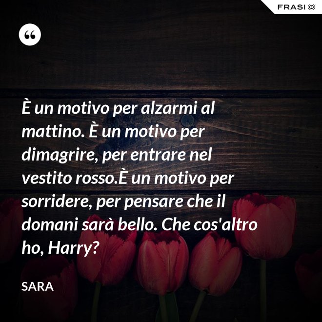 È un motivo per alzarmi al mattino. È un motivo per dimagrire, per entrare nel vestito rosso.È un motivo per sorridere, per pensare che il domani sarà bello. Che cos'altro ho, Harry? - Sara