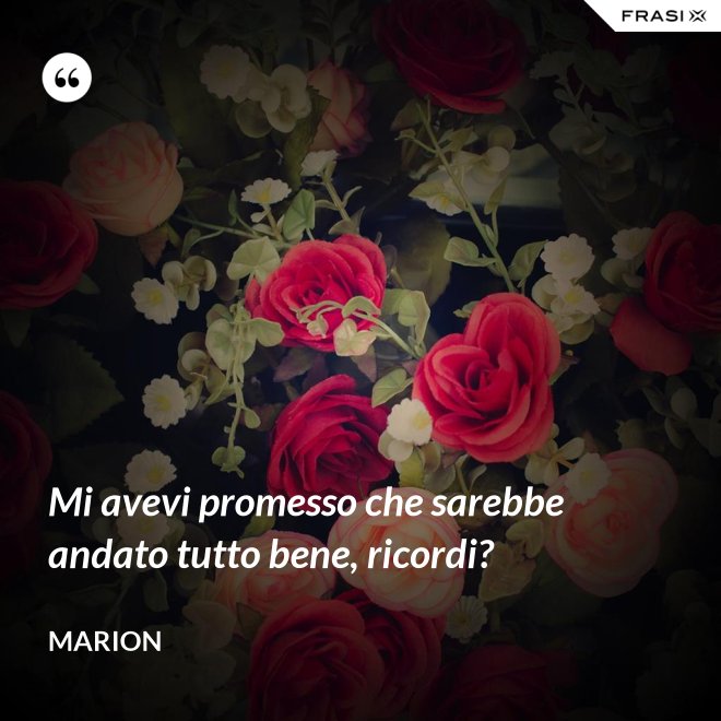 Mi avevi promesso che sarebbe andato tutto bene, ricordi? - Marion