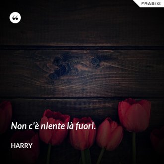 Non c'è niente là fuori. - Harry