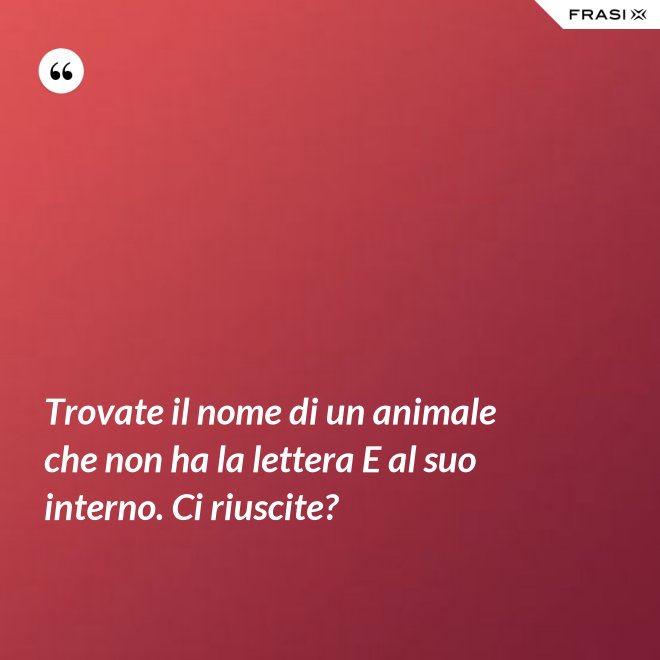 Trovate il nome di un animale che non ha la lettera E al suo interno. Ci riuscite? - Anonimo