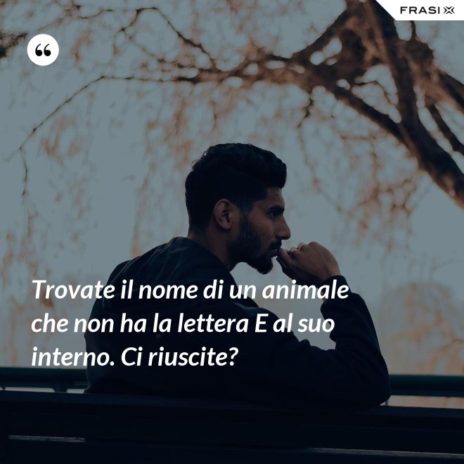 Trovate il nome di un animale che non ha la lettera E al suo interno. Ci riuscite? - Anonimo