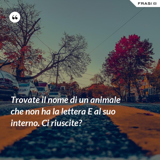 Trovate il nome di un animale che non ha la lettera E al suo interno. Ci riuscite? - Anonimo