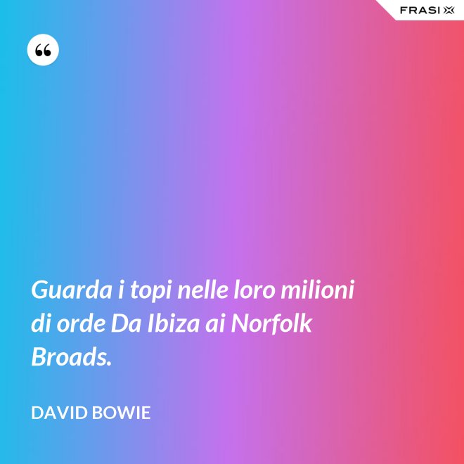 Guarda i topi nelle loro milioni di orde Da Ibiza ai Norfolk Broads. - David Bowie