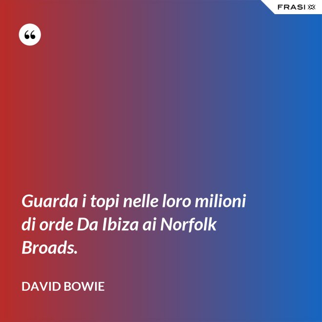 Guarda i topi nelle loro milioni di orde Da Ibiza ai Norfolk Broads. - David Bowie