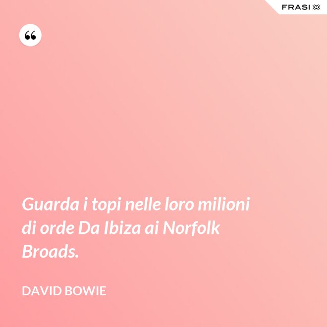 Guarda i topi nelle loro milioni di orde Da Ibiza ai Norfolk Broads. - David Bowie