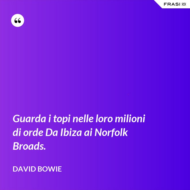 Guarda i topi nelle loro milioni di orde Da Ibiza ai Norfolk Broads. - David Bowie