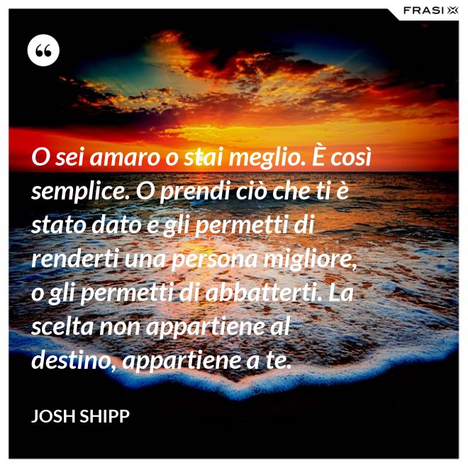 O sei amaro o stai meglio. È così semplice. O prendi ciò che ti è stato dato e gli permetti di renderti una persona migliore, o gli permetti di abbatterti. La scelta non appartiene al destino, appartiene a te. - Josh Shipp