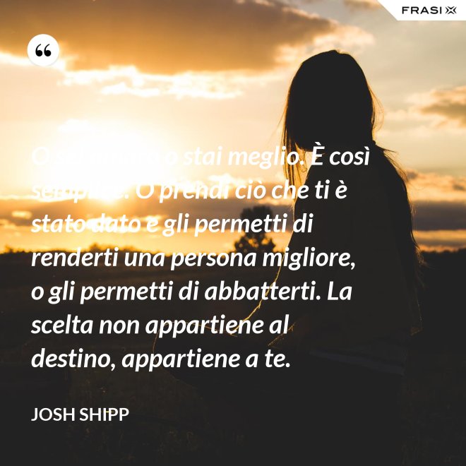 O sei amaro o stai meglio. È così semplice. O prendi ciò che ti è stato dato e gli permetti di renderti una persona migliore, o gli permetti di abbatterti. La scelta non appartiene al destino, appartiene a te. - Josh Shipp