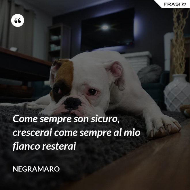 Come sempre son sicuro, crescerai come sempre al mio fianco resterai - Negramaro