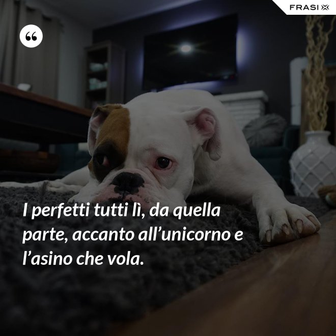I perfetti tutti lì, da quella parte, accanto all’unicorno e l’asino che vola. - Anonimo
