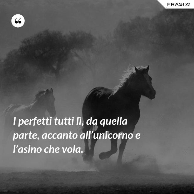 I perfetti tutti lì, da quella parte, accanto all’unicorno e l’asino che vola. - Anonimo