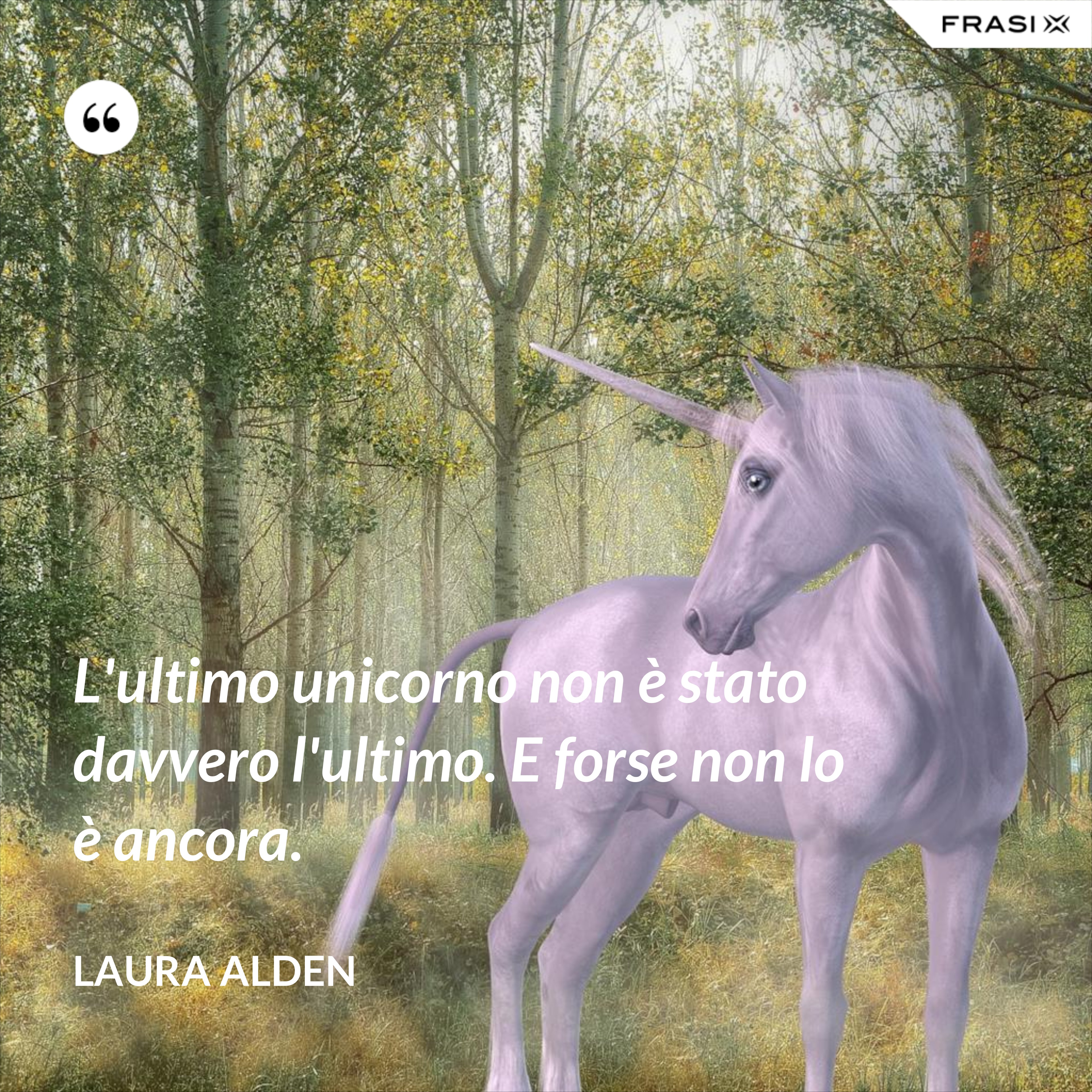 L'ultimo unicorno non è stato davvero l'ultimo. E forse non lo è ancora. - Laura Alden