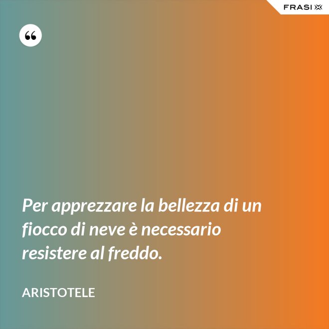 Per apprezzare la bellezza di un fiocco di neve è necessario resistere al freddo. - Aristotele