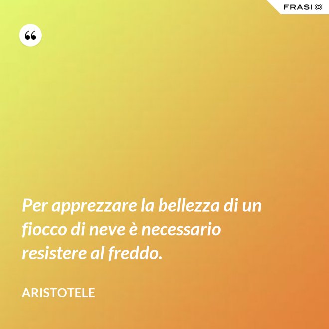 Per apprezzare la bellezza di un fiocco di neve è necessario resistere al freddo. - Aristotele