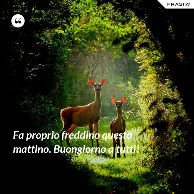 Fa proprio freddino questo mattino. Buongiorno a tutti! - Anonimo