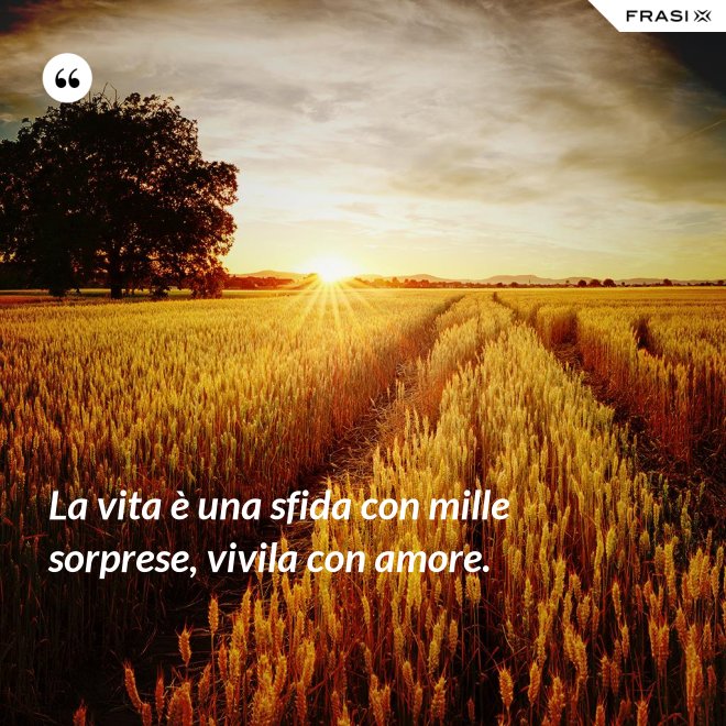 La vita è una sfida con mille sorprese, vivila con amore. - Anonimo