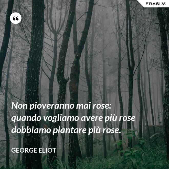Non pioveranno mai rose: quando vogliamo avere più rose dobbiamo piantare più rose. - George Eliot