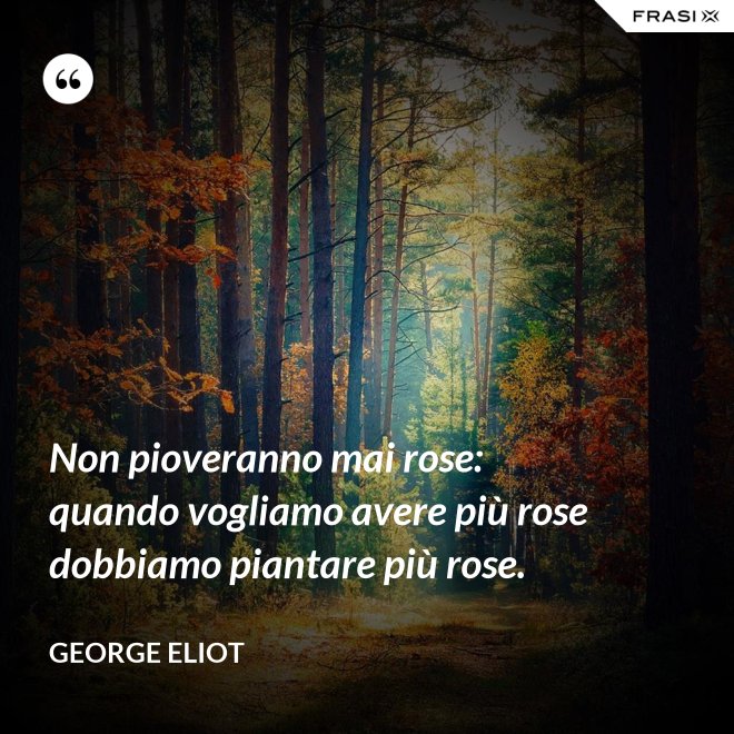 Non pioveranno mai rose: quando vogliamo avere più rose dobbiamo piantare più rose. - George Eliot