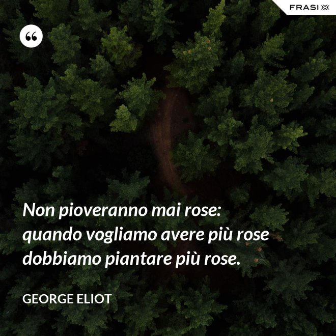 Non pioveranno mai rose: quando vogliamo avere più rose dobbiamo piantare più rose. - George Eliot