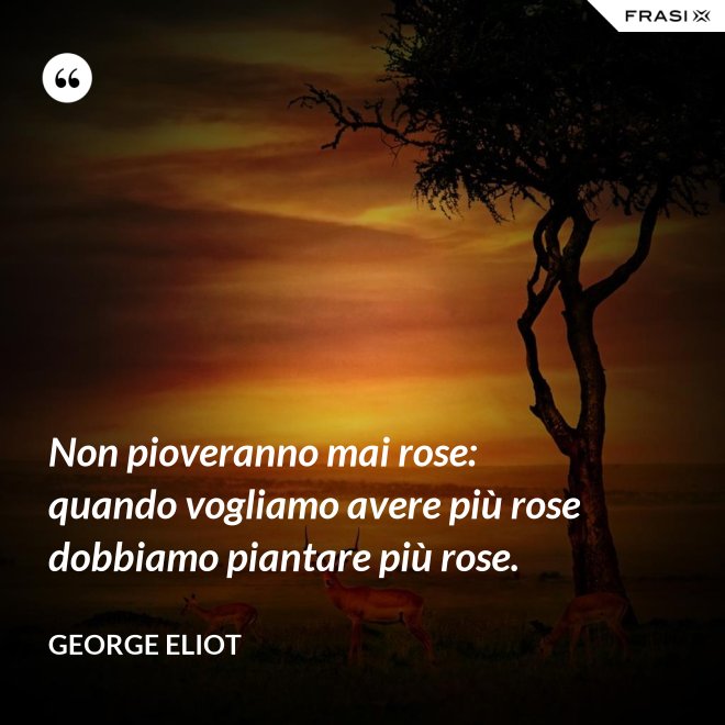 Non pioveranno mai rose: quando vogliamo avere più rose dobbiamo piantare più rose. - George Eliot