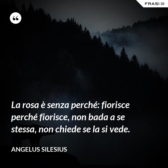 La rosa è senza perché: fiorisce perché fiorisce, non bada a se stessa, non chiede se la si vede. - Angelus Silesius