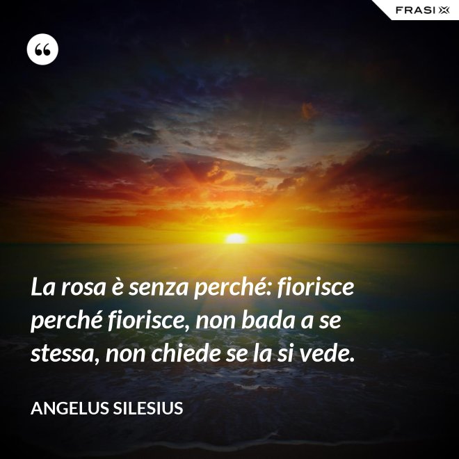 La rosa è senza perché: fiorisce perché fiorisce, non bada a se stessa, non chiede se la si vede. - Angelus Silesius