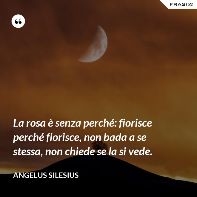 La rosa è senza perché: fiorisce perché fiorisce, non bada a se stessa, non chiede se la si vede. - Angelus Silesius