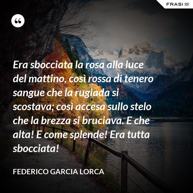Era sbocciata la rosa alla luce del mattino, così rossa di tenero sangue che la rugiada si scostava; così accesa sullo stelo che la brezza si bruciava. E che alta! E come splende! Era tutta sbocciata! - Federico Garcia Lorca