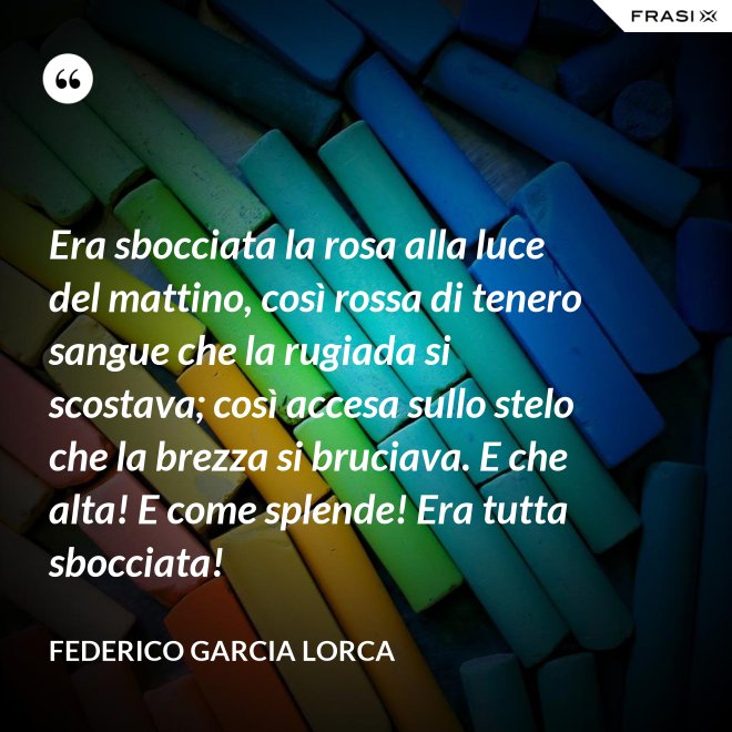 Era sbocciata la rosa alla luce del mattino, così rossa di tenero sangue che la rugiada si scostava; così accesa sullo stelo che la brezza si bruciava. E che alta! E come splende! Era tutta sbocciata! - Federico Garcia Lorca