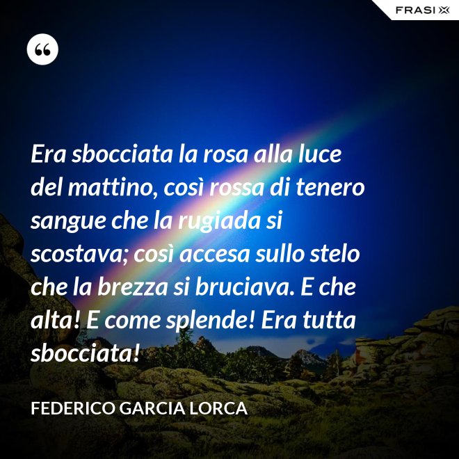 Era sbocciata la rosa alla luce del mattino, così rossa di tenero sangue che la rugiada si scostava; così accesa sullo stelo che la brezza si bruciava. E che alta! E come splende! Era tutta sbocciata! - Federico Garcia Lorca
