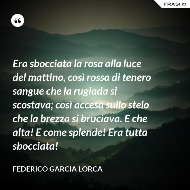 Era sbocciata la rosa alla luce del mattino, così rossa di tenero sangue che la rugiada si scostava; così accesa sullo stelo che la brezza si bruciava. E che alta! E come splende! Era tutta sbocciata! - Federico Garcia Lorca