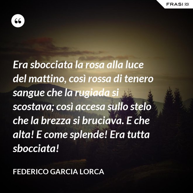Era sbocciata la rosa alla luce del mattino, così rossa di tenero sangue che la rugiada si scostava; così accesa sullo stelo che la brezza si bruciava. E che alta! E come splende! Era tutta sbocciata! - Federico Garcia Lorca