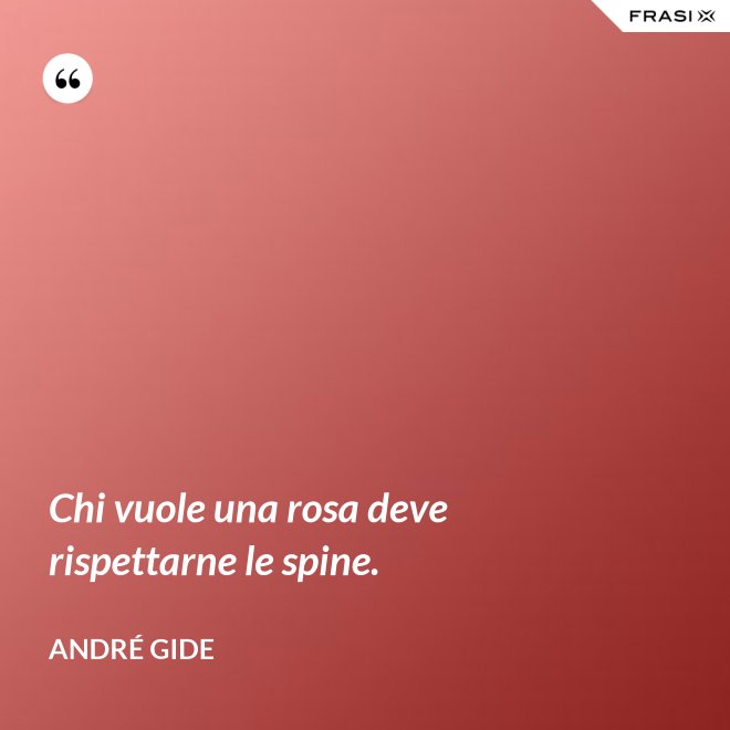 Chi vuole una rosa deve rispettarne le spine. - André Gide