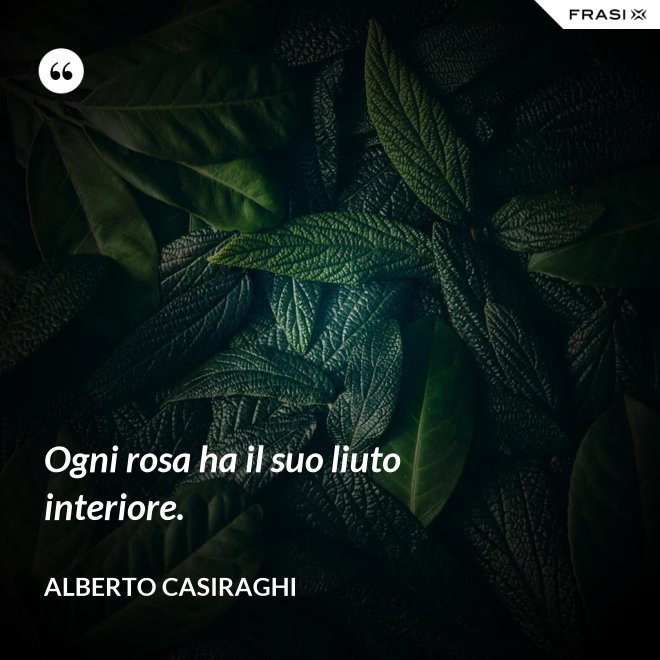 Ogni rosa ha il suo liuto interiore. - Alberto Casiraghi