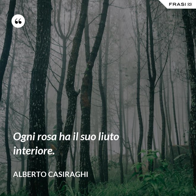 Ogni rosa ha il suo liuto interiore. - Alberto Casiraghi