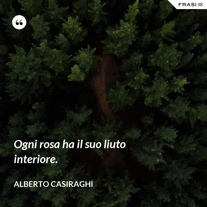Ogni rosa ha il suo liuto interiore. - Alberto Casiraghi