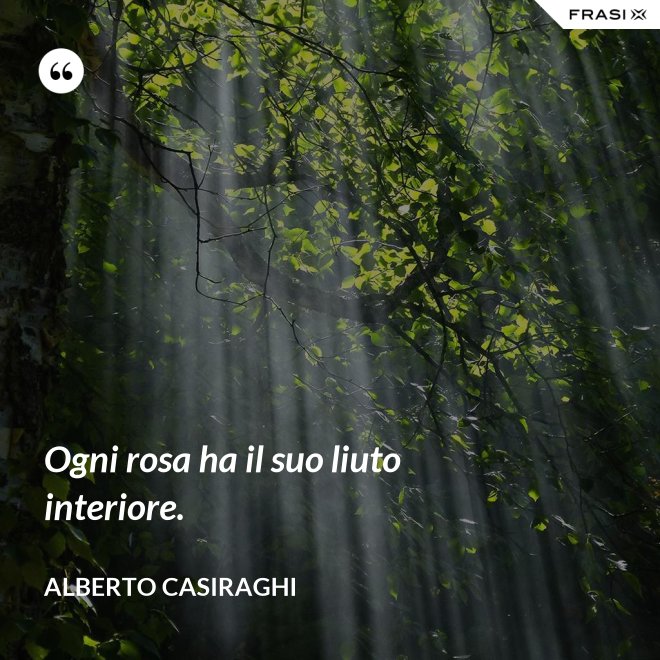 Ogni rosa ha il suo liuto interiore. - Alberto Casiraghi