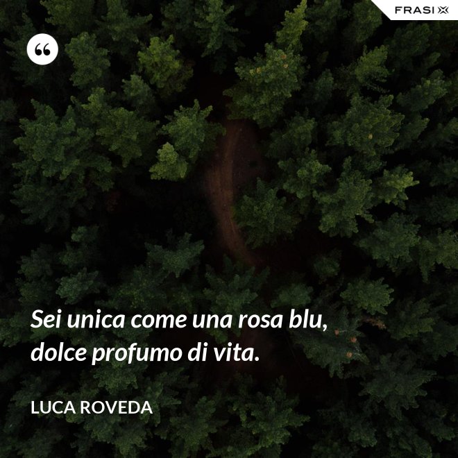 Sei unica come una rosa blu, dolce profumo di vita. - Luca Roveda