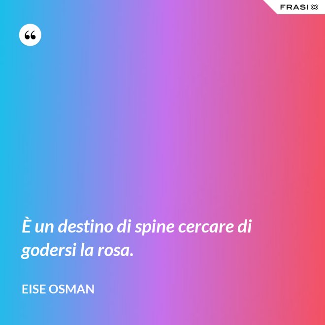 È un destino di spine cercare di godersi la rosa. - Eise Osman
