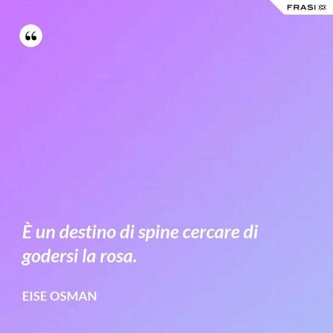 È un destino di spine cercare di godersi la rosa. - Eise Osman