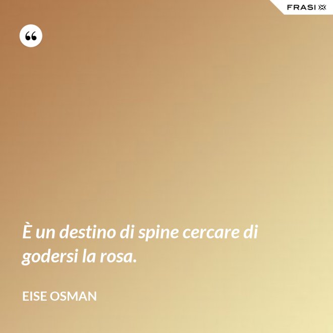 È un destino di spine cercare di godersi la rosa. - Eise Osman