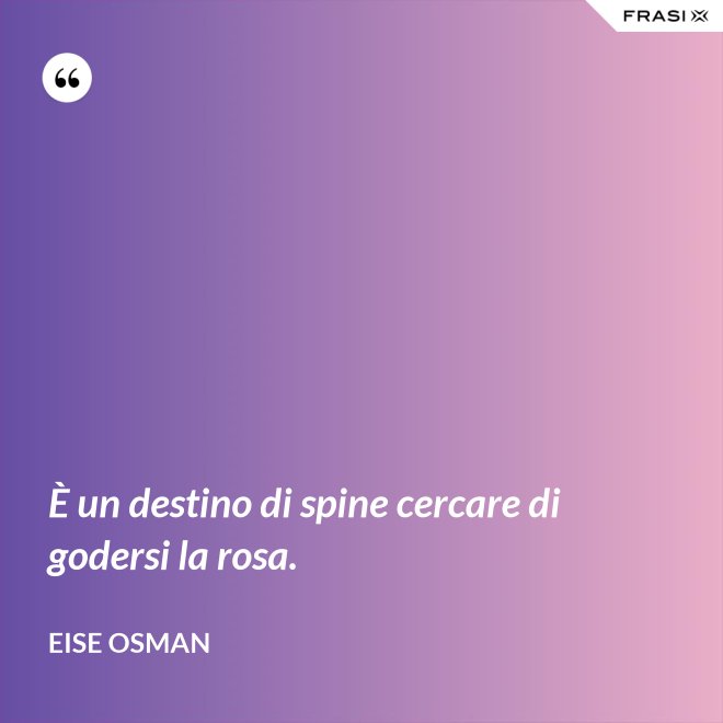 È un destino di spine cercare di godersi la rosa. - Eise Osman