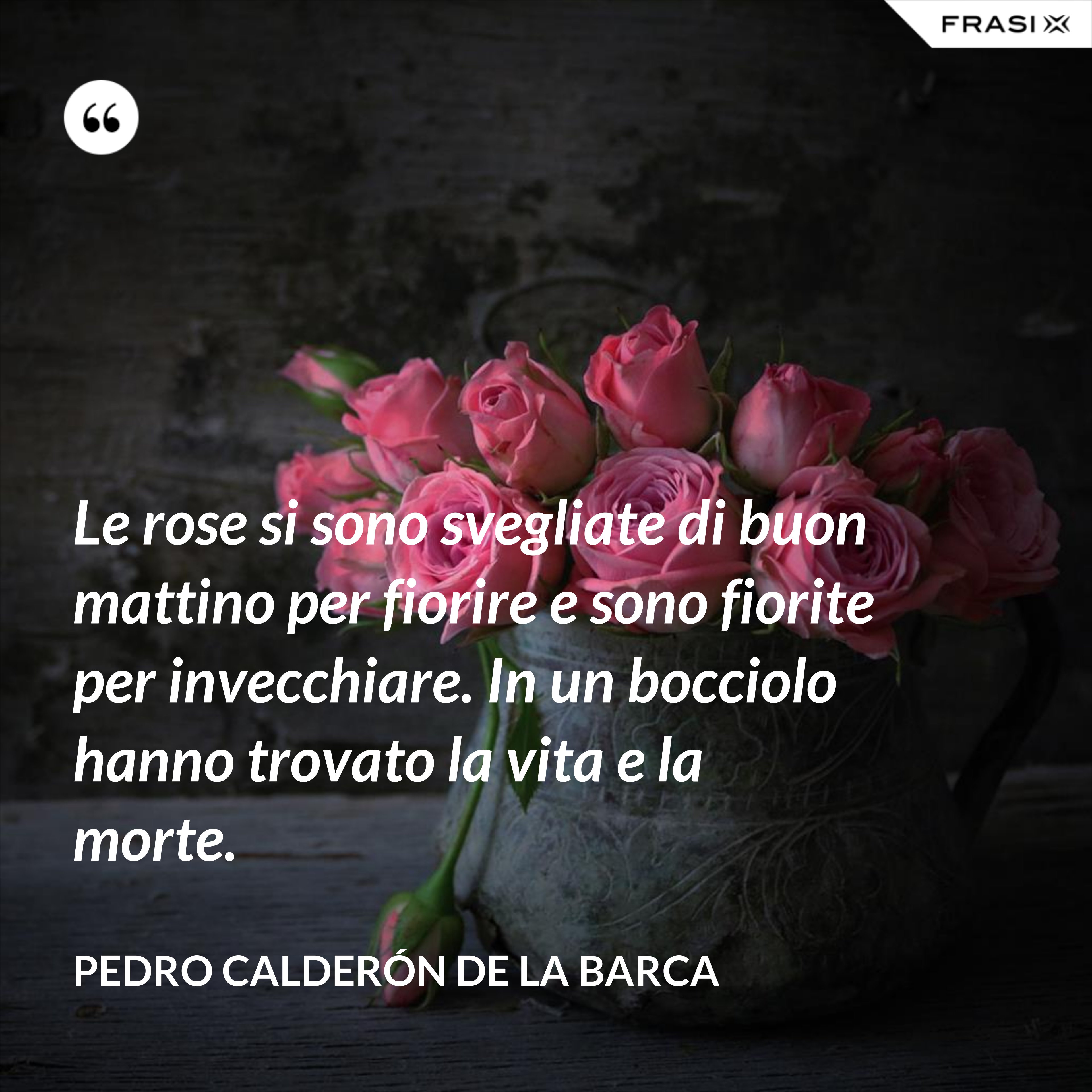 Le rose si sono svegliate di buon mattino per fiorire e sono fiorite per invecchiare. In un bocciolo hanno trovato la vita e la morte. - Pedro Calderón de la Barca
