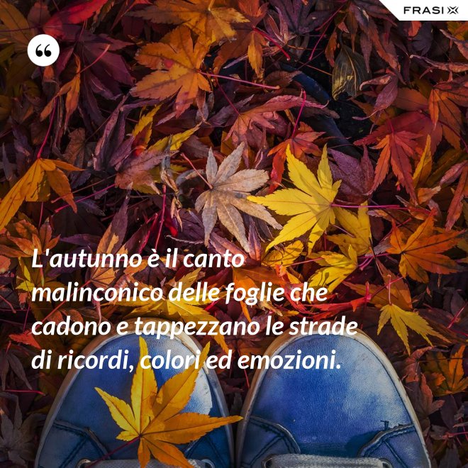 L'autunno è il canto malinconico delle foglie che cadono e tappezzano le strade di ricordi, colori ed emozioni. - Anonimo