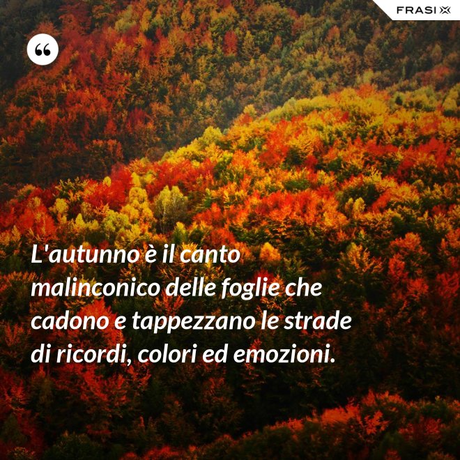 L'autunno è il canto malinconico delle foglie che cadono e tappezzano le strade di ricordi, colori ed emozioni. - Anonimo