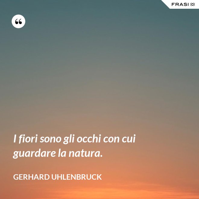 I fiori sono gli occhi con cui guardare la natura. - Gerhard Uhlenbruck
